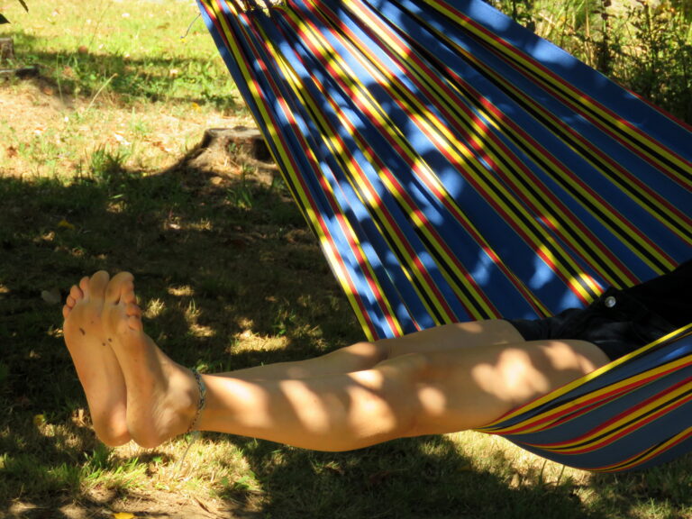 IMG 7100 768x576